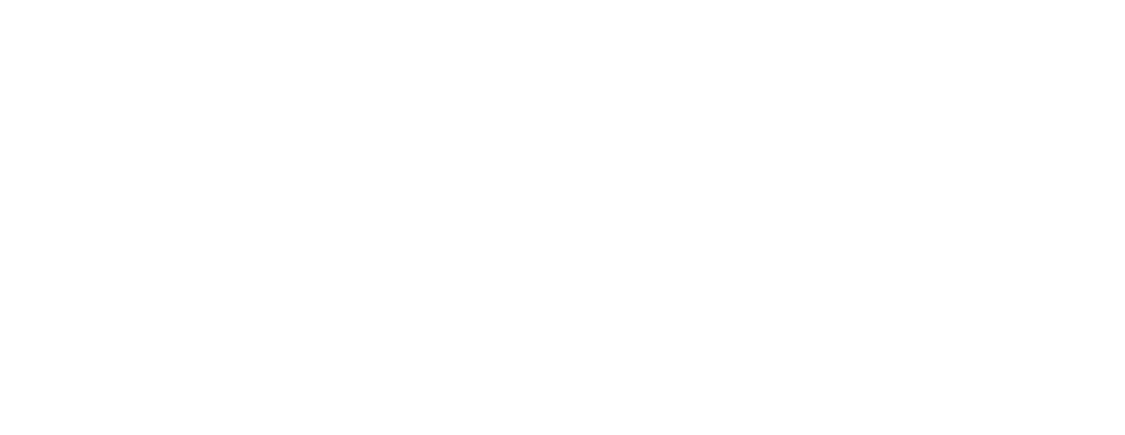 Main Logo